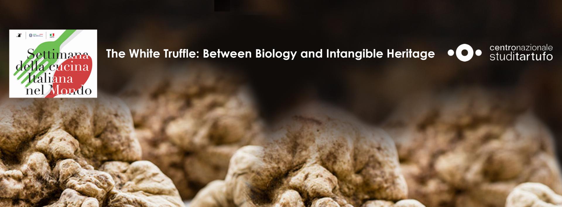 X Edizione della Settimana della Cucina Italiana nel Mondo