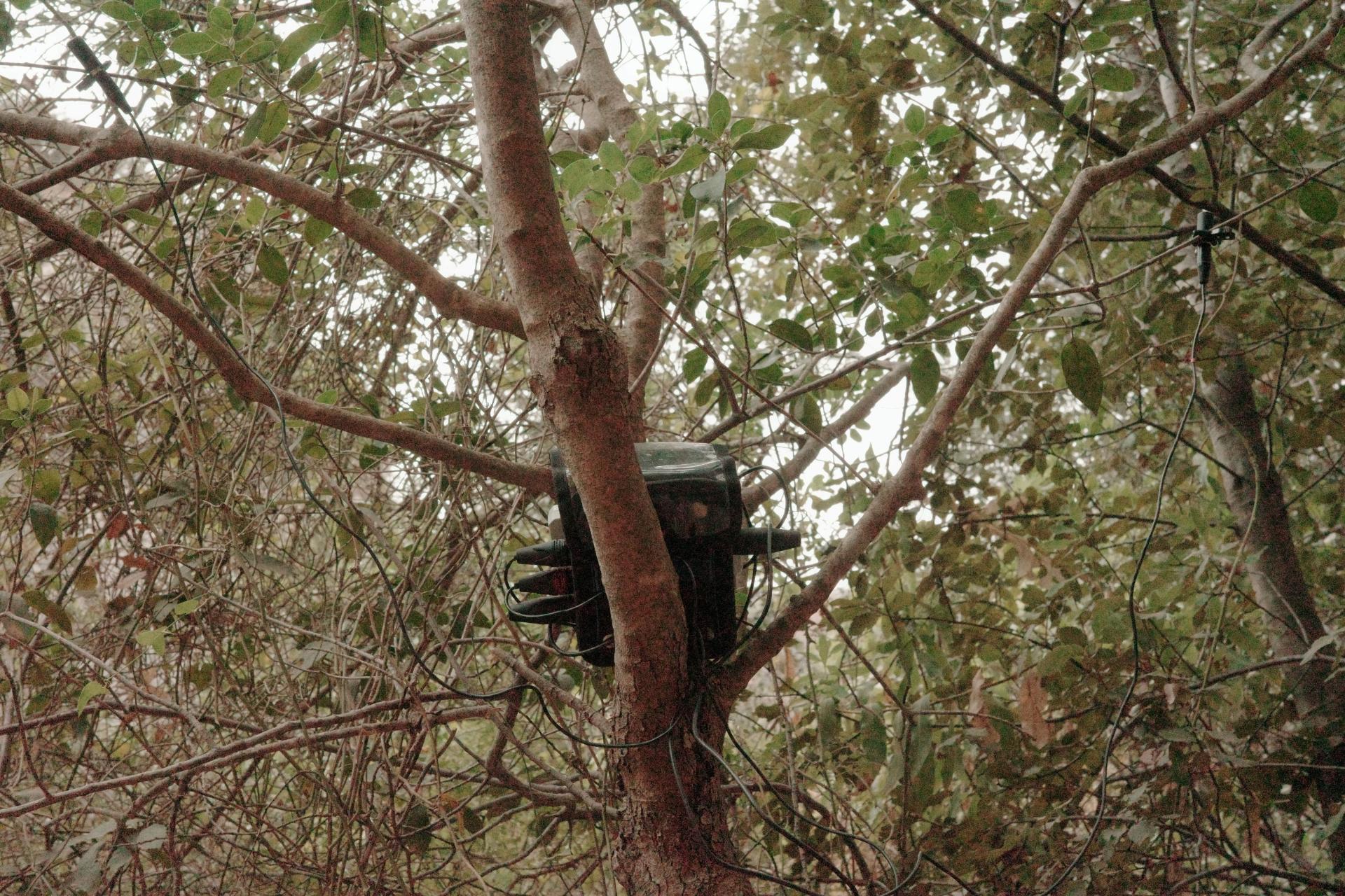 Image Credits Joseph Kamaru